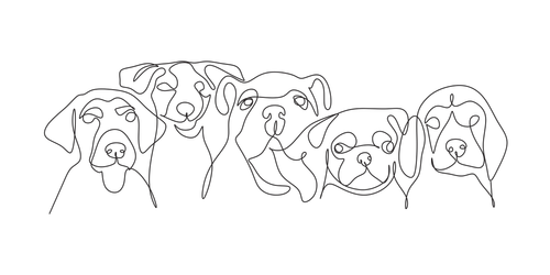 Continuous line drawing of five dogs standing side by side